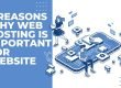 5 Reasons Why Web Hosting Is Important For Website